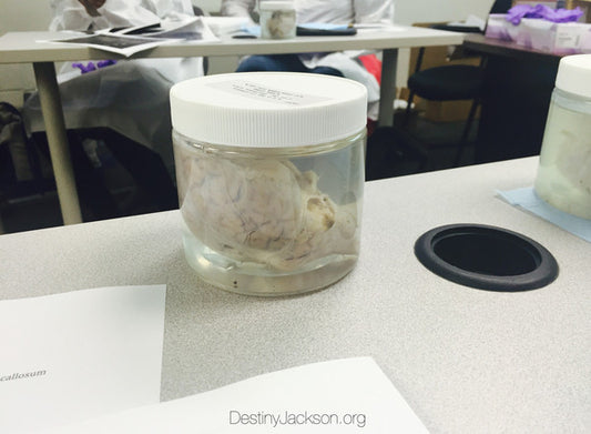 Psychology Class. God's Creations. And Neurologists.