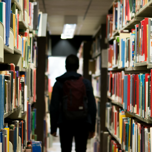 Balancing the Homeschooling and Traditional Education Debate