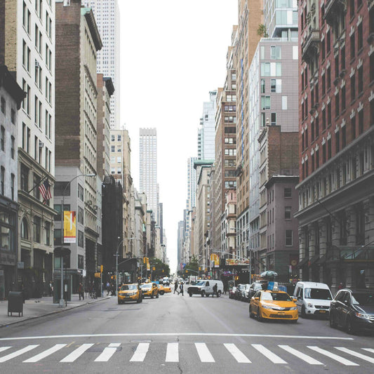 Summarizing Georg Simmel's Critique