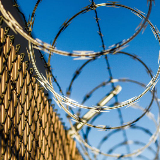 Prison Commentary: Crime & Punishment - Week 1