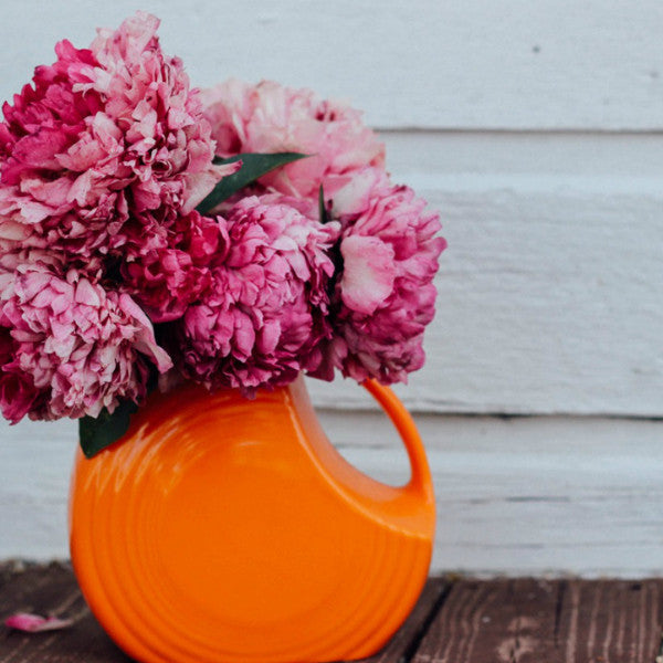 Prison Commentary: Exonerees & Life After Death Row - Week 11