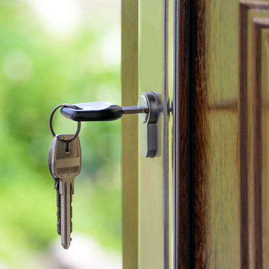 Prison Commentary: Exonerees and The Ills of Release - Week 12