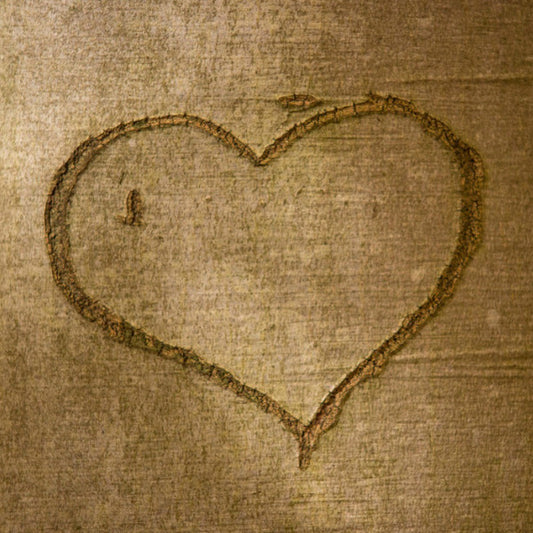 Prison Commentary: Exonerees & Struggling Relationships - Week 13