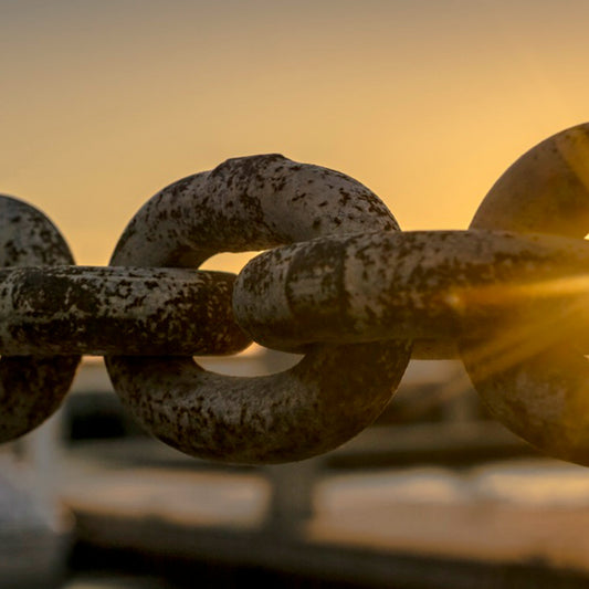 Prison Commentary: Human Dignity Violations - Week 2