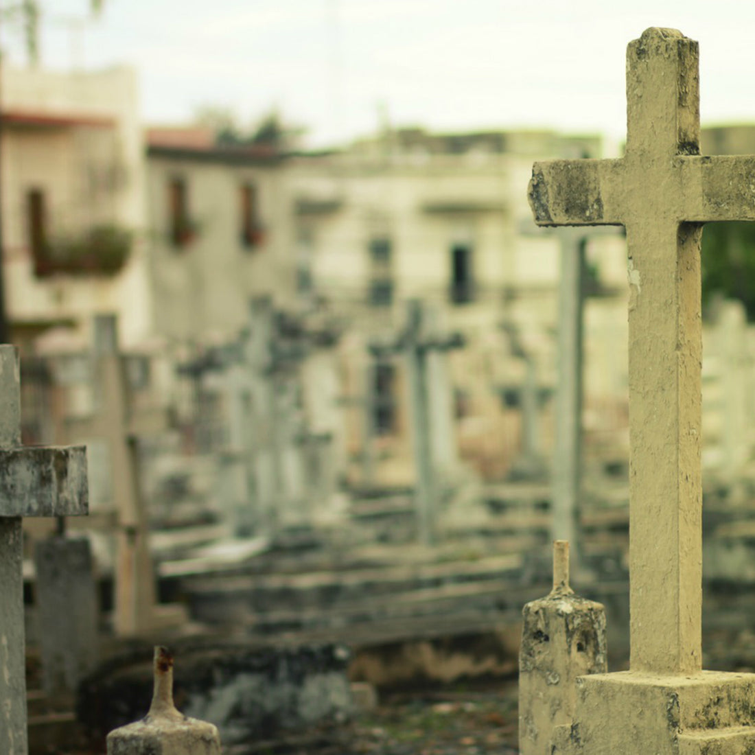 Prison Commentary: Death Row & Solitary Confinement - Week 8