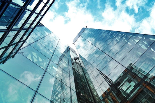 Selecting A Multinational Enterprise: Infosys